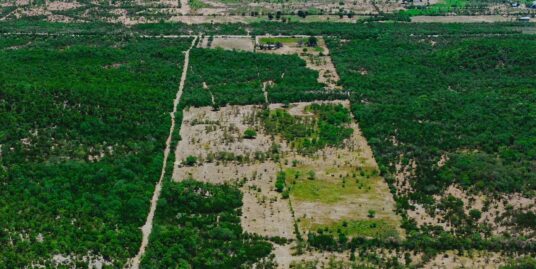 Terreno en Venta Tierras Coloradas Montemorelos