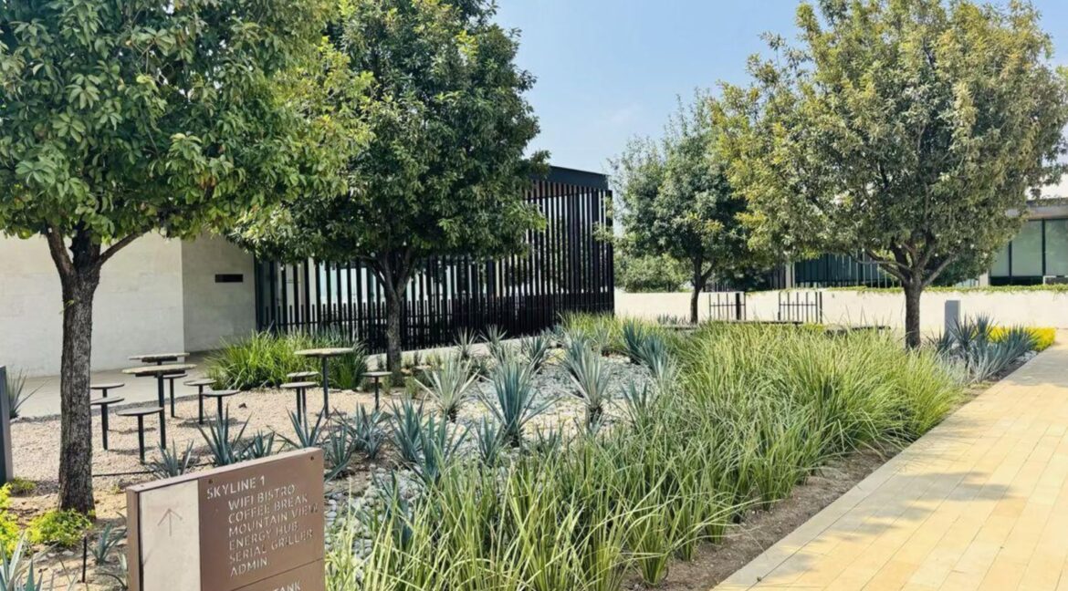 25 CASA PARK LIVING CUMBRES DOMINIO