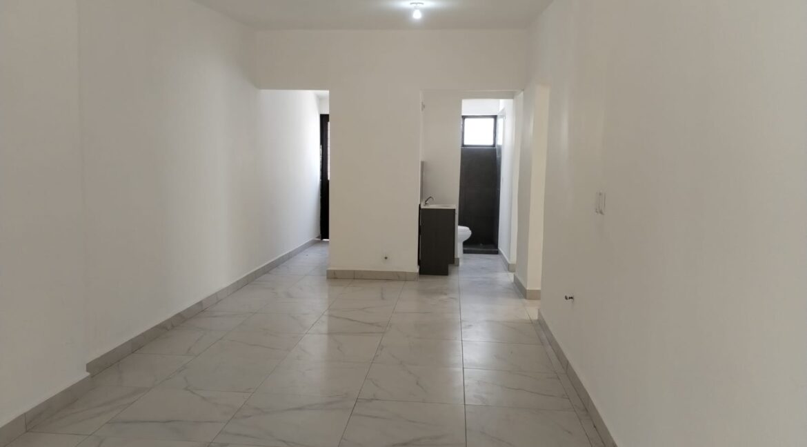 2 CASA EN VENTA CONSTITUYENTES