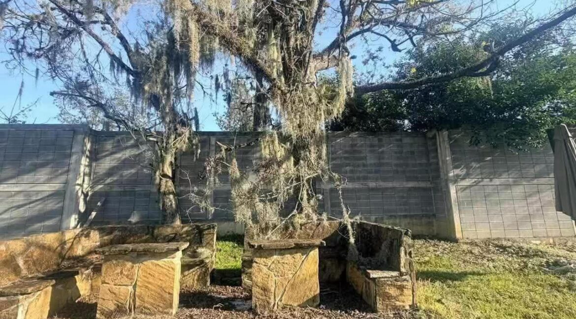 Terreno en Venta Allende 10