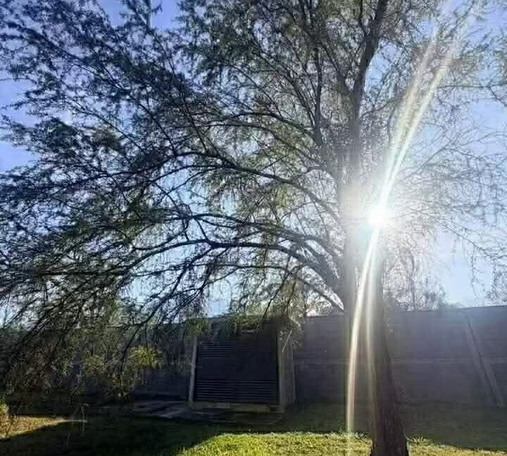 Terreno en Venta Allende 9