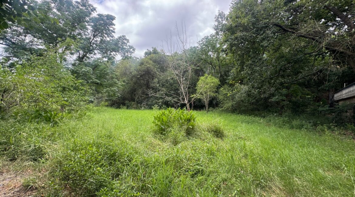 Terreno Las Raices Allende 1