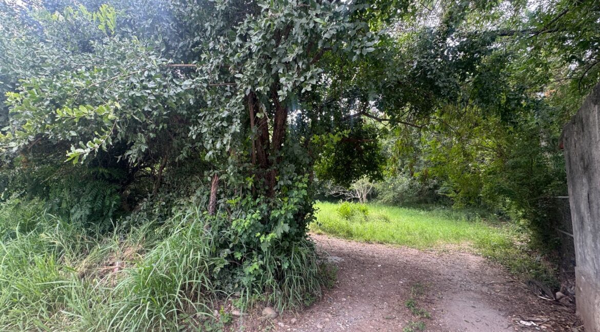 Terreno Las Raices Allende 6