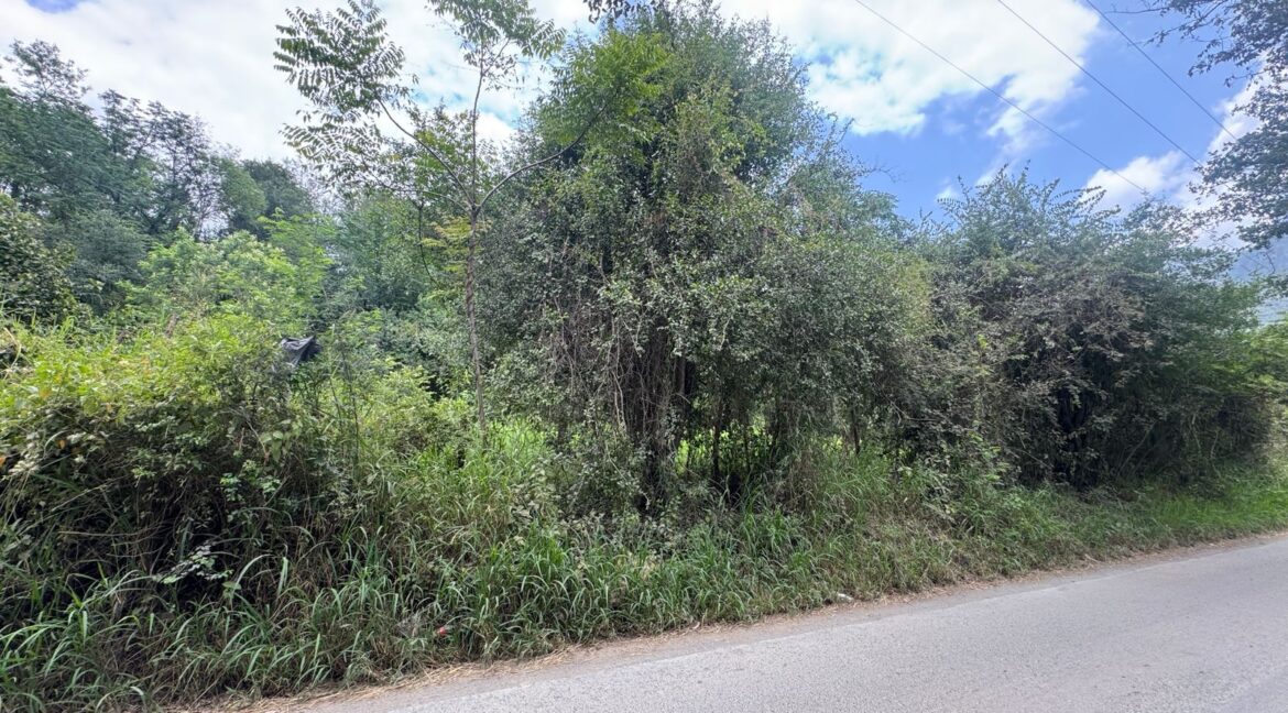 Terreno Las Raices Allende 9