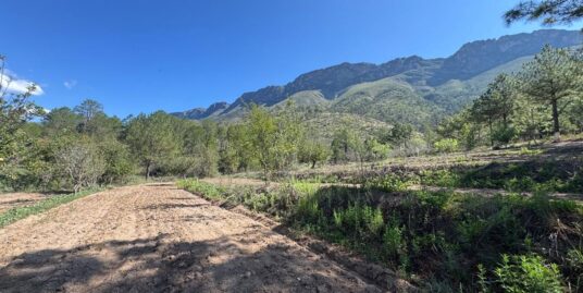 Terreno en Venta Santiago, Nuevo Leon
