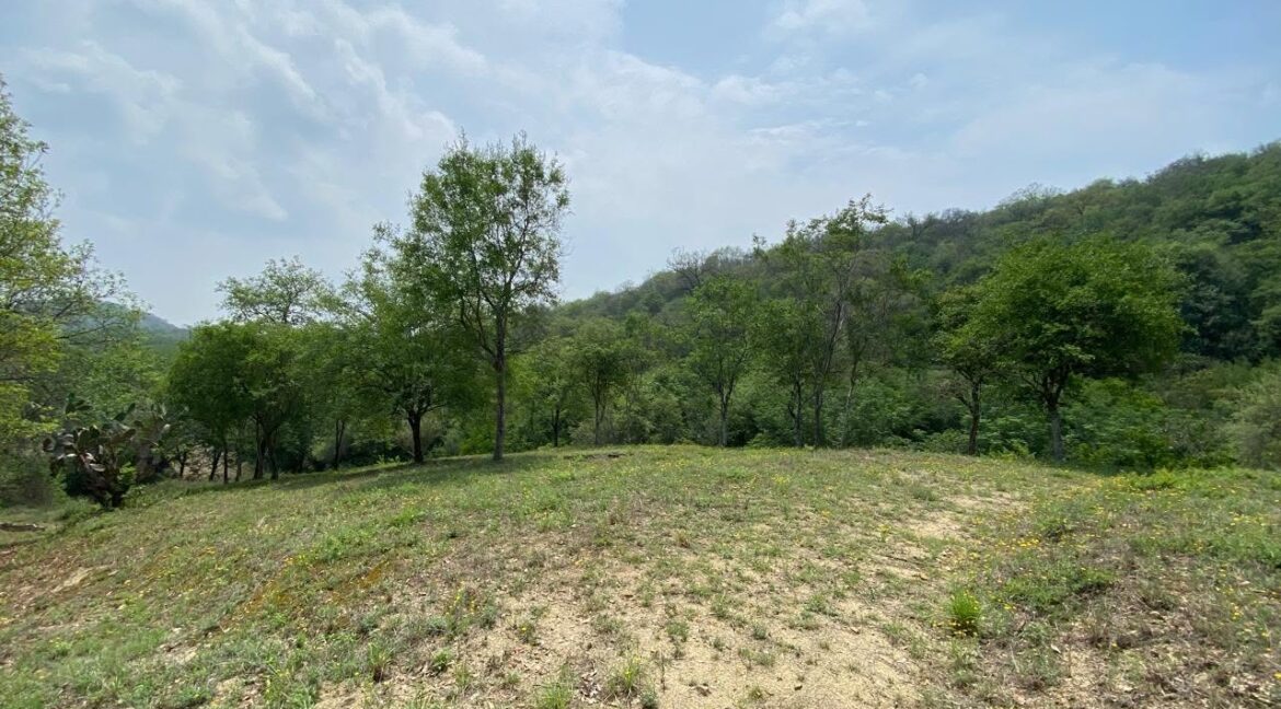 Terreno en Venta Allende Nuevo Leon 1